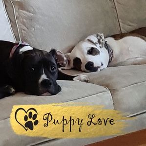 Meet your Posher, Deb